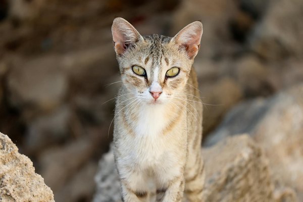 How to choose stylish sportswear