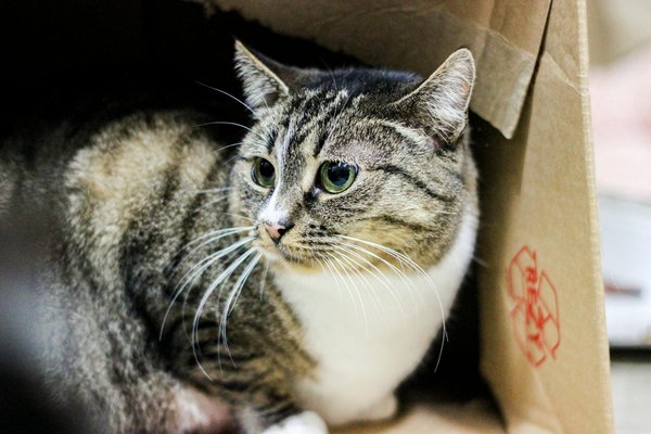 Can smart clothing enhance the healthcare monitoring of individuals?